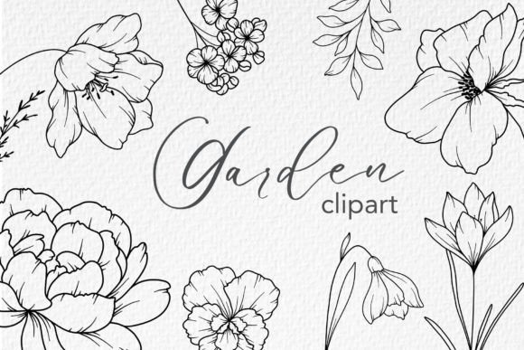 Download FLOWERS LINE DRAWING, Floral Line Art - Flower Collection